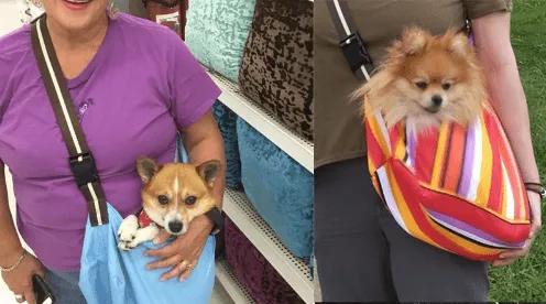 3 in 1 Pet Sling Carrier