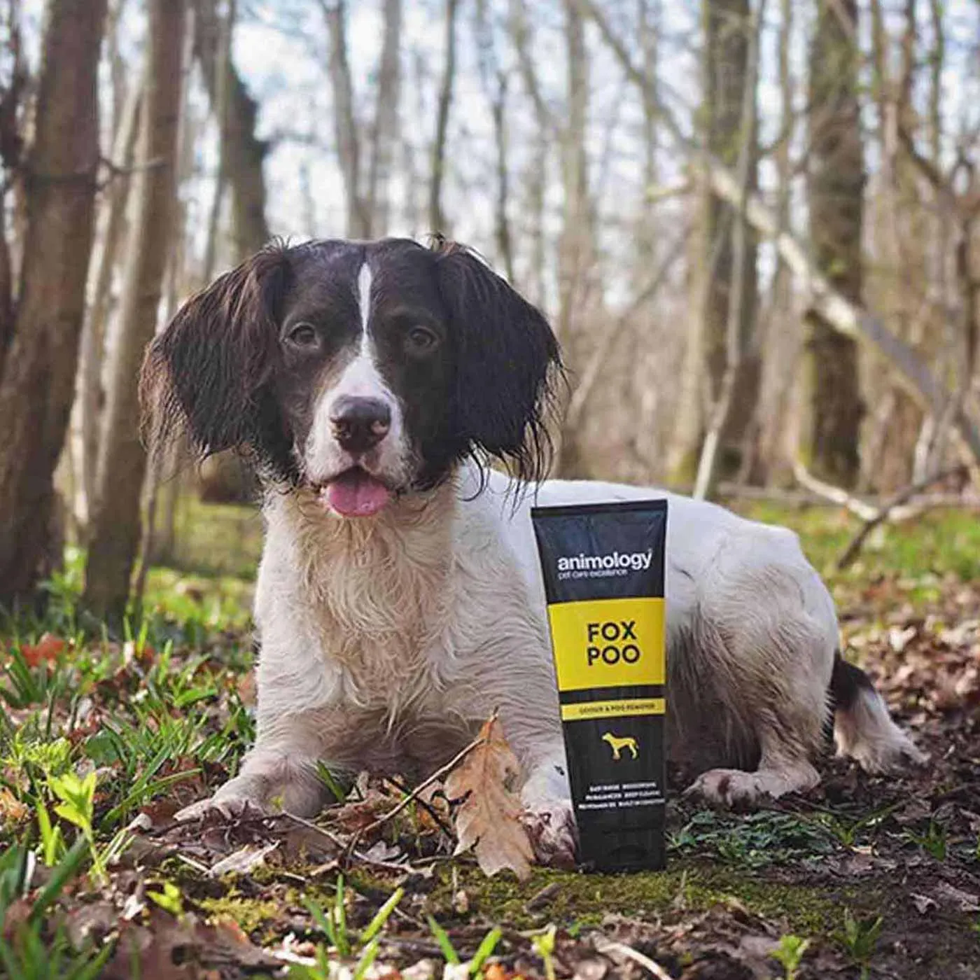 Animology Fox Poo Dog Shampoo