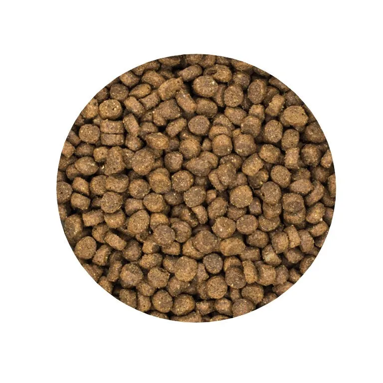 Burns Senior  Original Toy Breed with Chicken & Rice