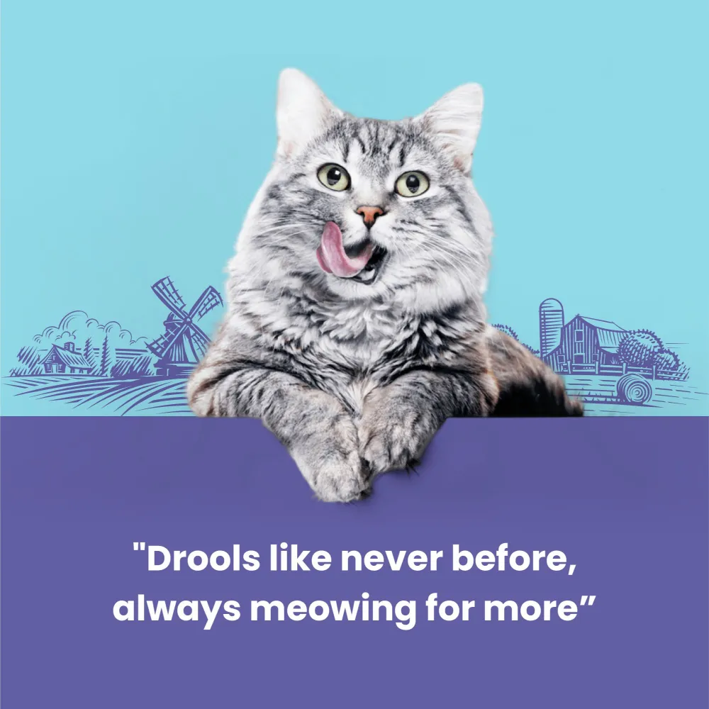 Catfest Pillows with Chicken and Salmon Cream Cat Treats Combo