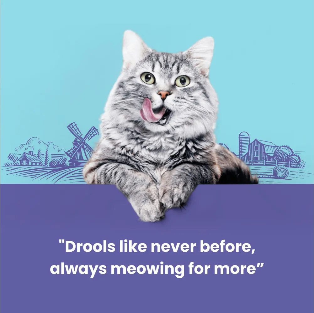 Catfest Pillows with Chicken and Salmon Cream Cat Treats Combo