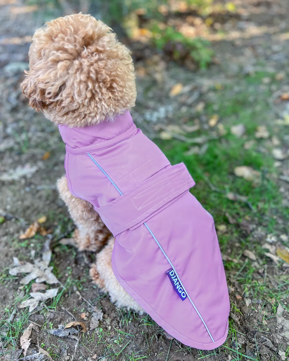 City Slicker Dog Jacket & Raincoat