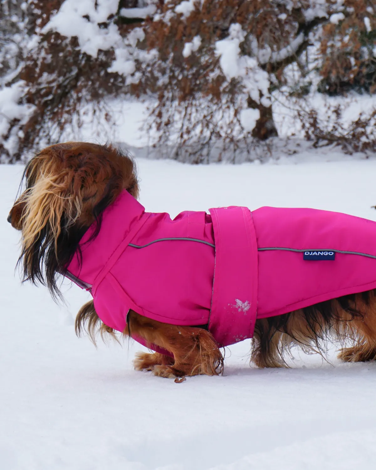 City Slicker Dog Jacket & Raincoat