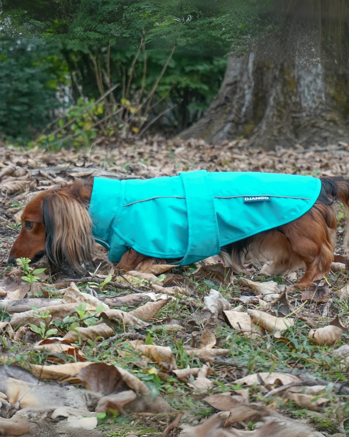 City Slicker Dog Jacket & Raincoat