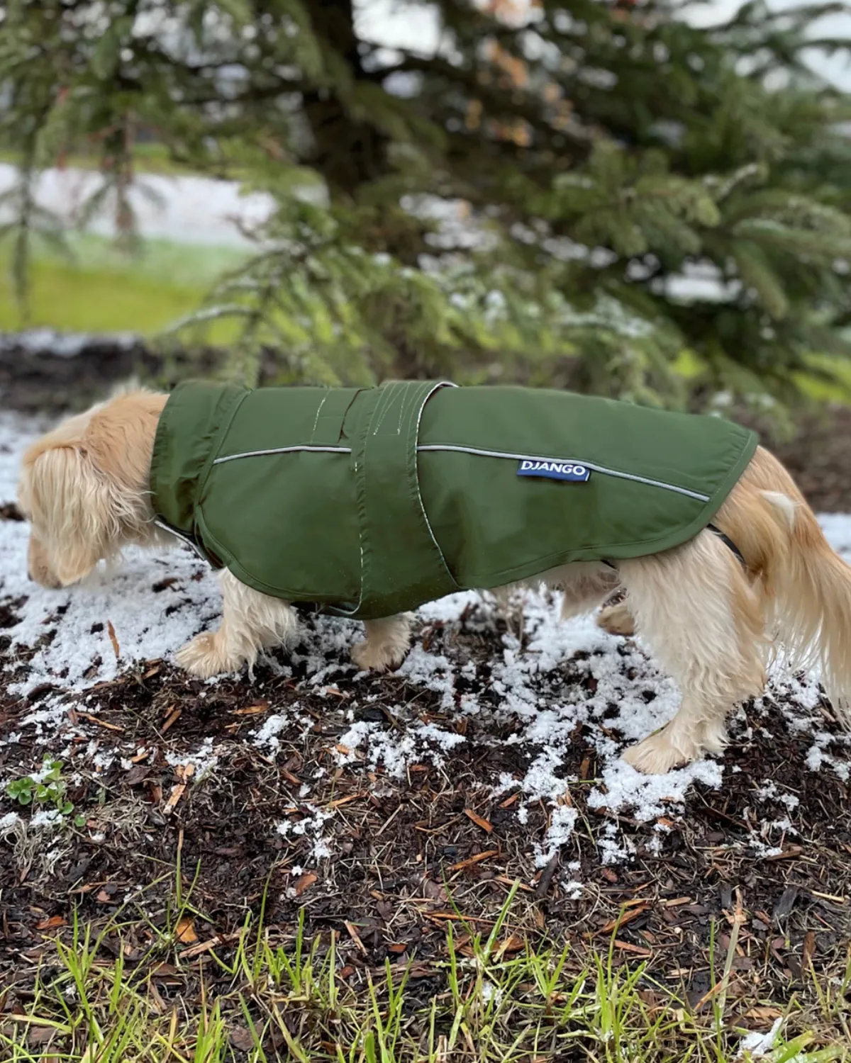 City Slicker Dog Jacket & Raincoat