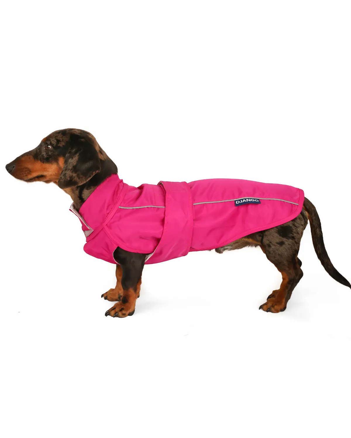 City Slicker Dog Jacket & Raincoat