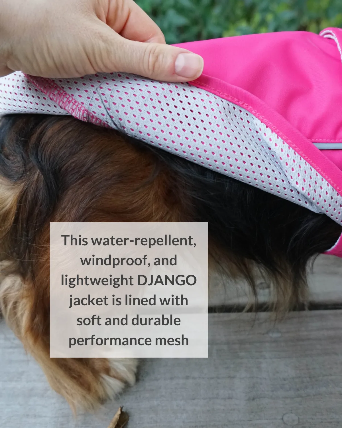 City Slicker Dog Jacket & Raincoat