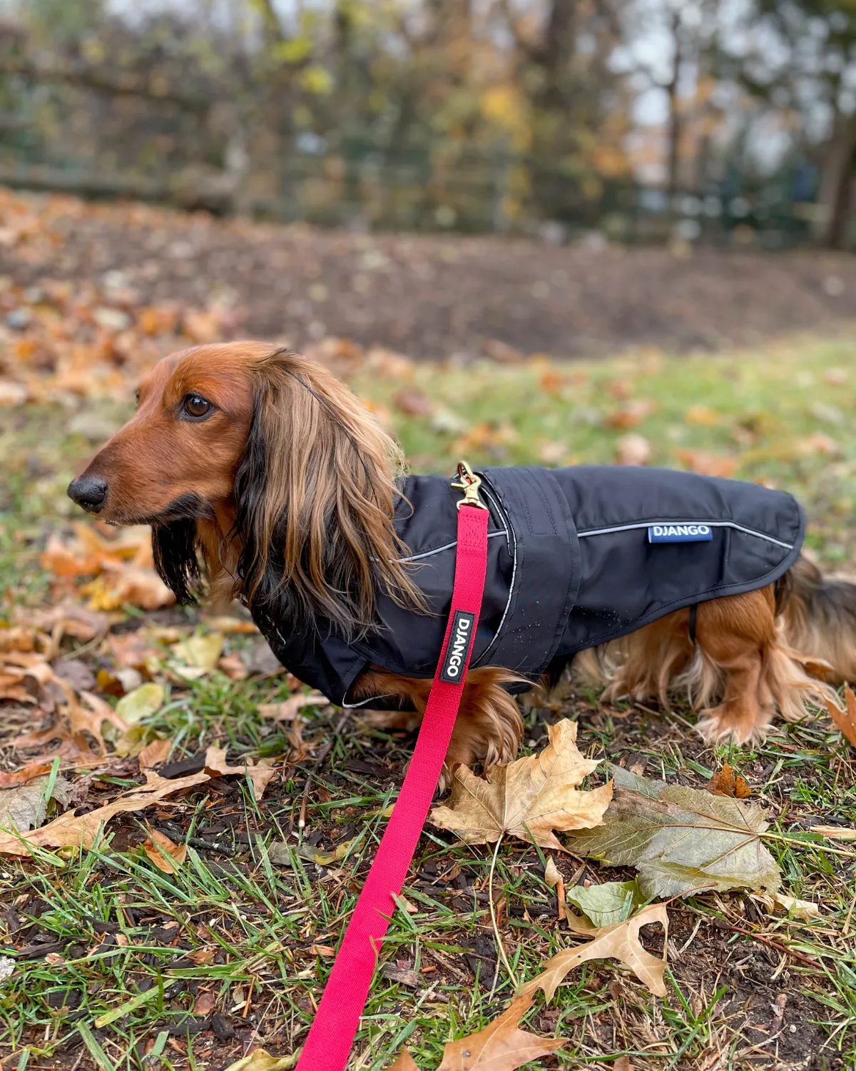 City Slicker Dog Jacket & Raincoat