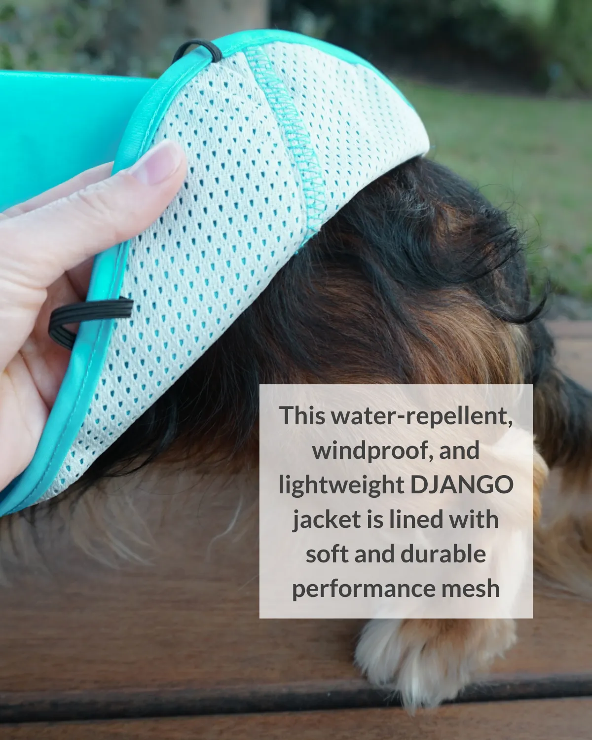 City Slicker Dog Jacket & Raincoat