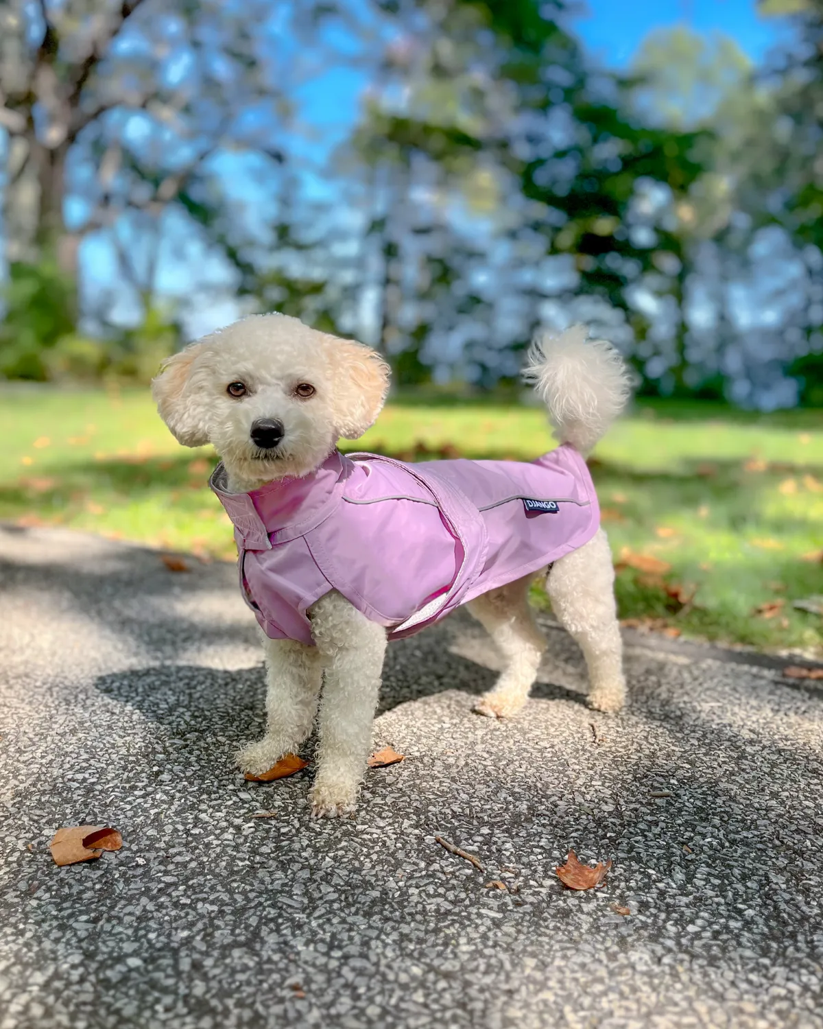 City Slicker Dog Jacket & Raincoat