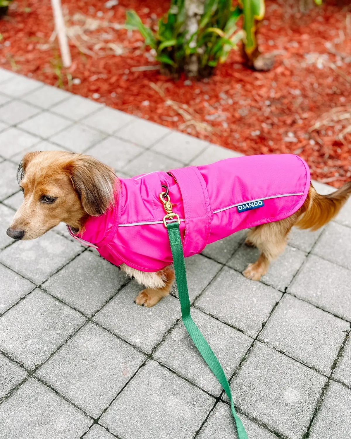 City Slicker Dog Jacket & Raincoat