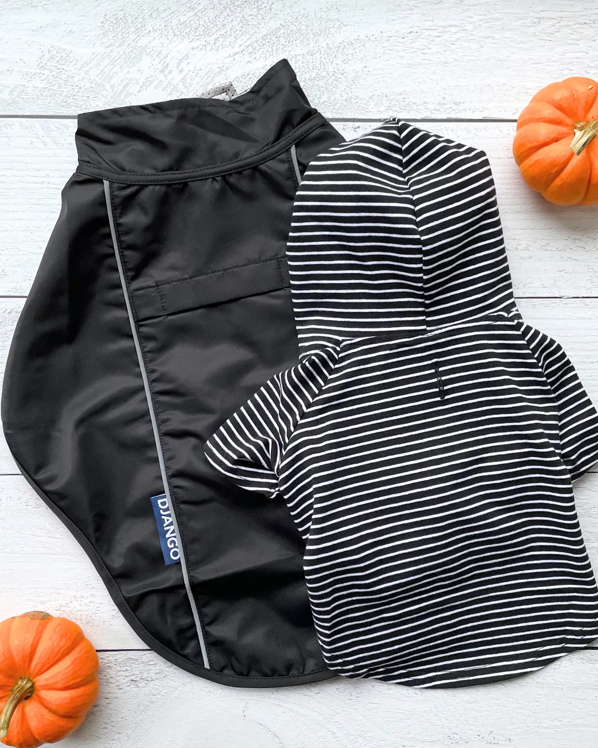 City Slicker Dog Jacket & Raincoat