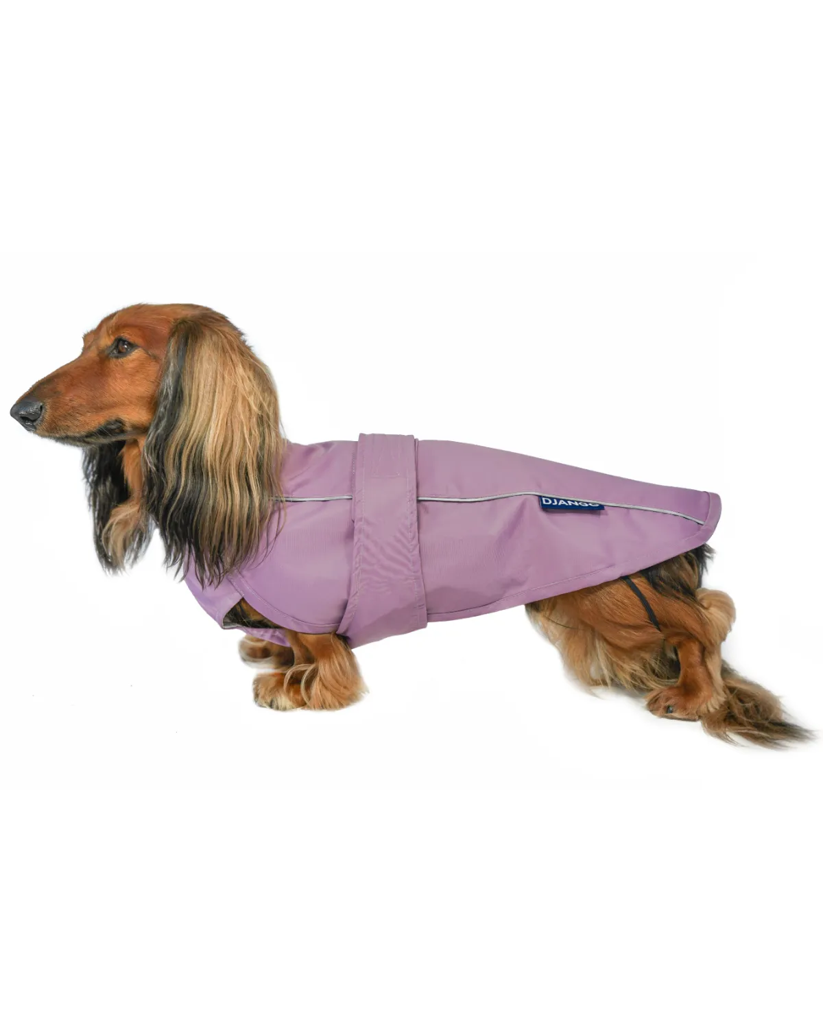 City Slicker Dog Jacket & Raincoat
