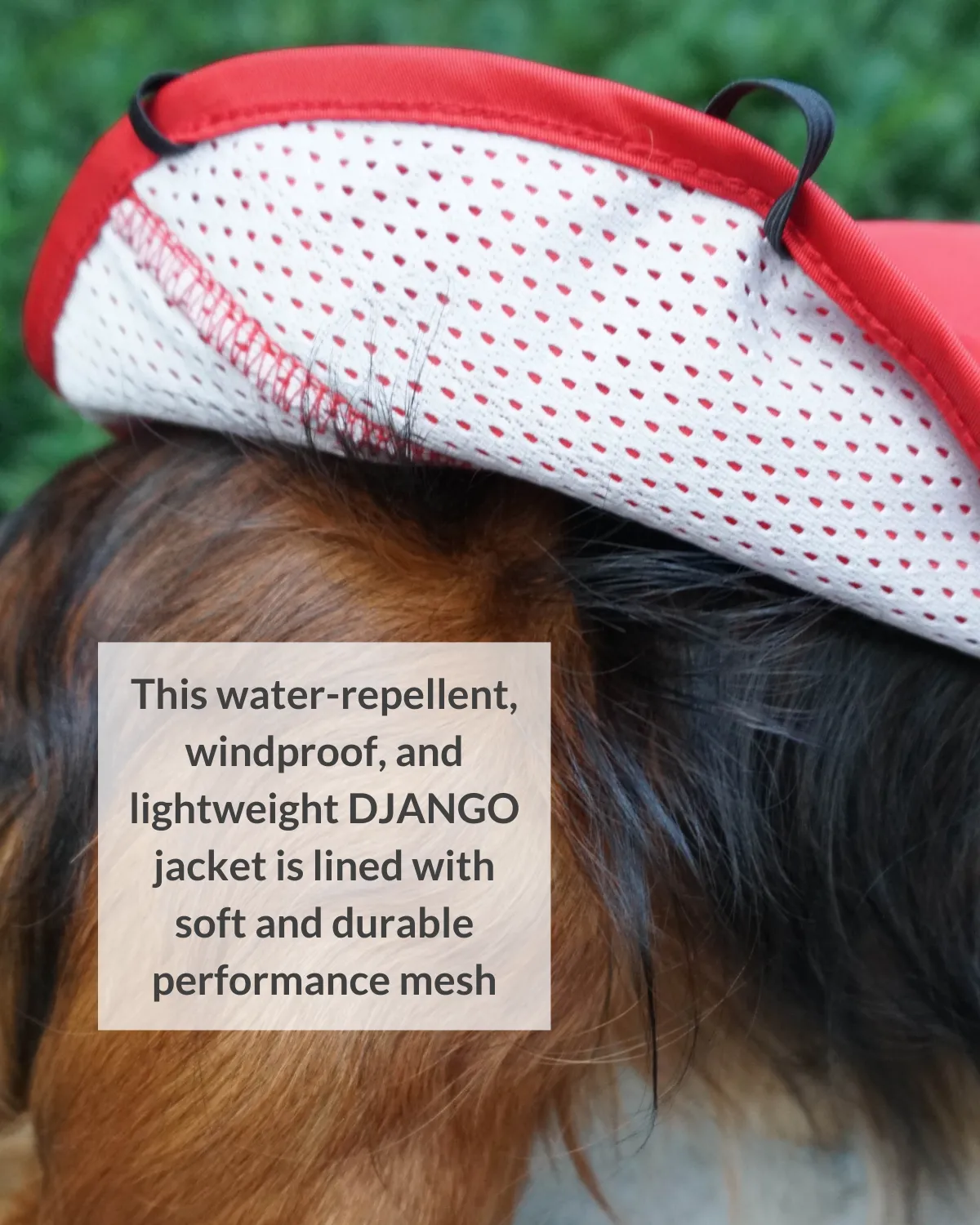 City Slicker Dog Jacket & Raincoat