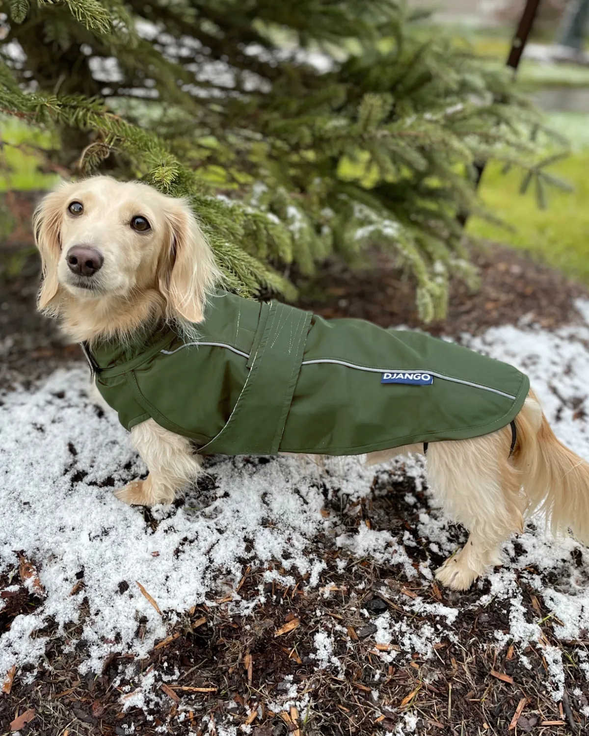 City Slicker Dog Jacket & Raincoat