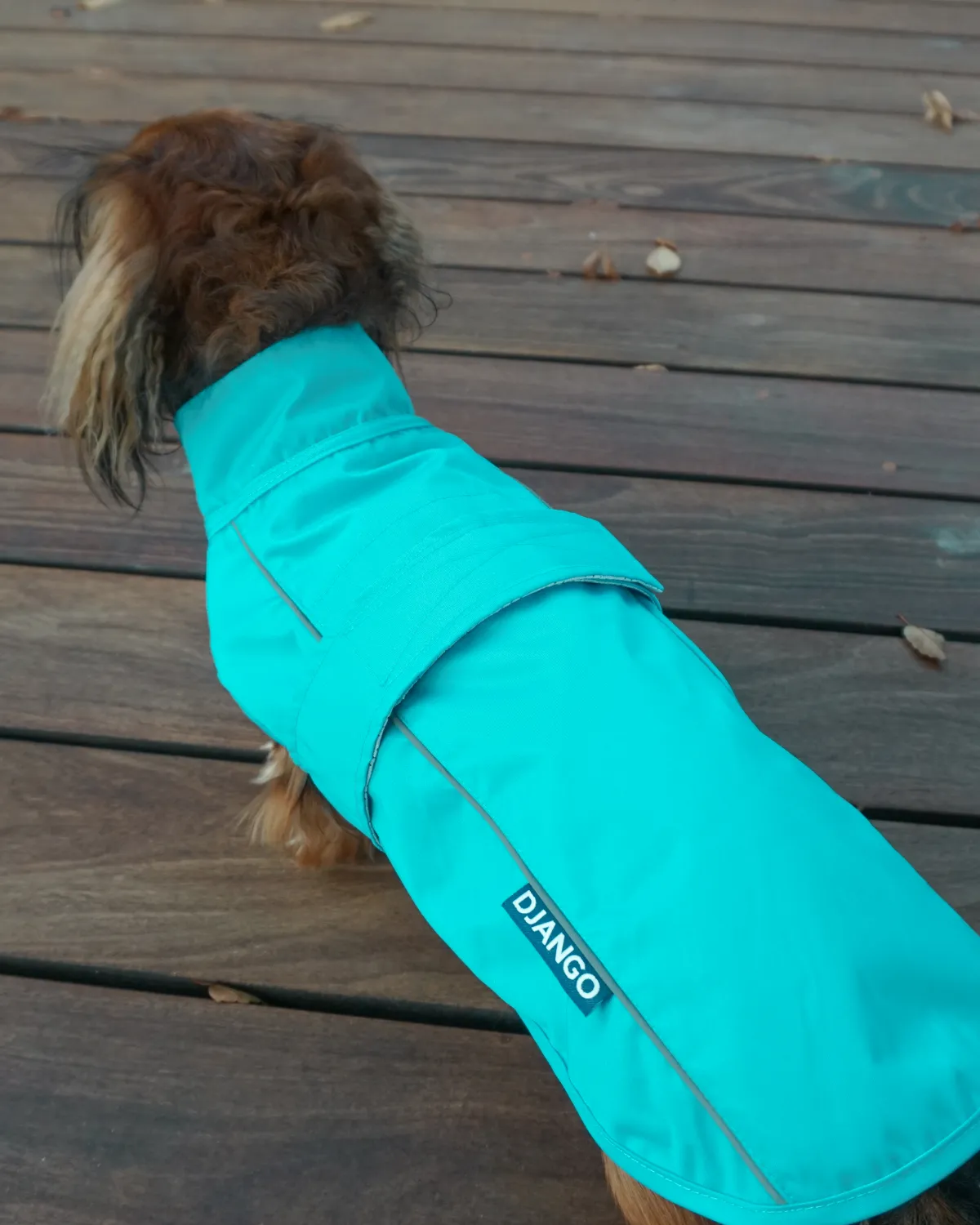City Slicker Dog Jacket & Raincoat