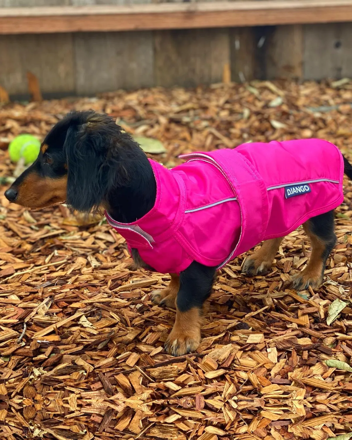City Slicker Dog Jacket & Raincoat