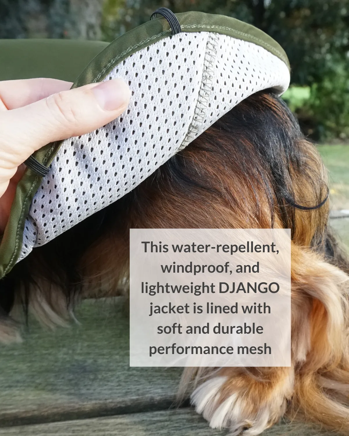 City Slicker Dog Jacket & Raincoat