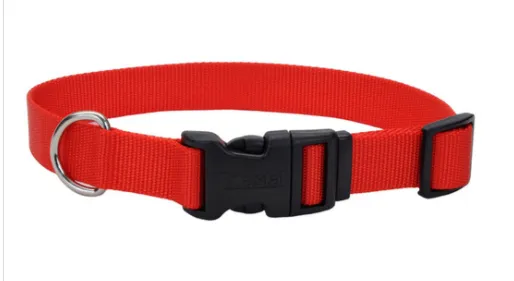 Coastal Adjustable Nylon Dog Collar with Plastic Buckle 5/8 in x 10-14 in - SMALL