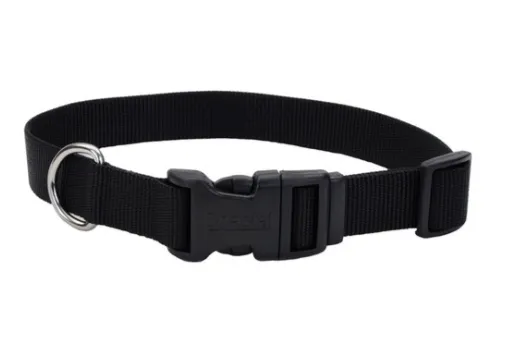 Coastal Adjustable Nylon Dog Collar with Plastic Buckle 5/8 in x 10-14 in - SMALL