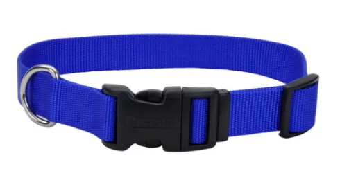 Coastal Adjustable Nylon Dog Collar with Plastic Buckle 5/8 in x 10-14 in - SMALL
