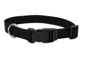 Coastal Adjustable Nylon Dog Collar with Plastic Buckle 5/8 in x 10-14 in - SMALL