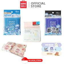 Cool Feeling Series Outdoor Wet Wipes (20 wipes×2 packs)