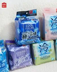 Cool Feeling Series Outdoor Wet Wipes (20 wipes×2 packs)