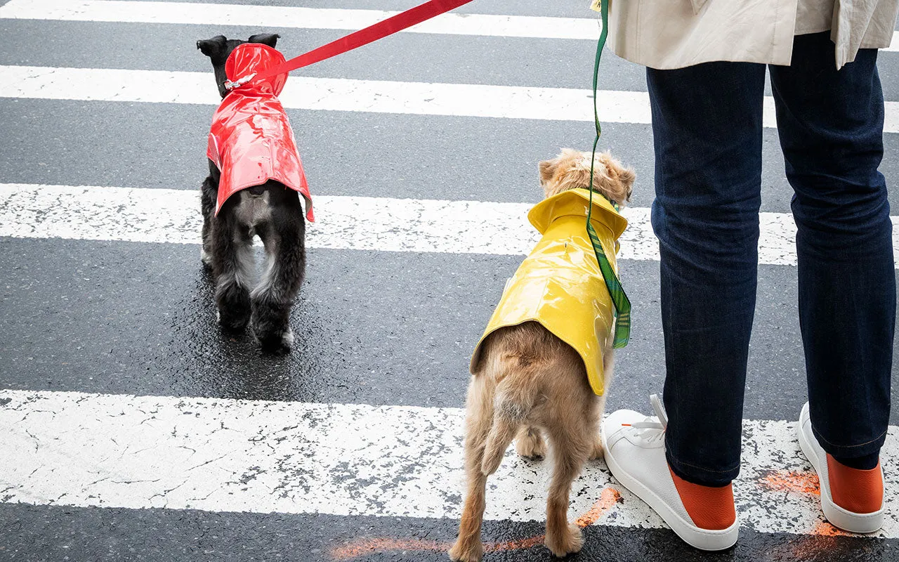 Dog Coat - Slickers, Raincoats - 8-16" - 6 Color Options