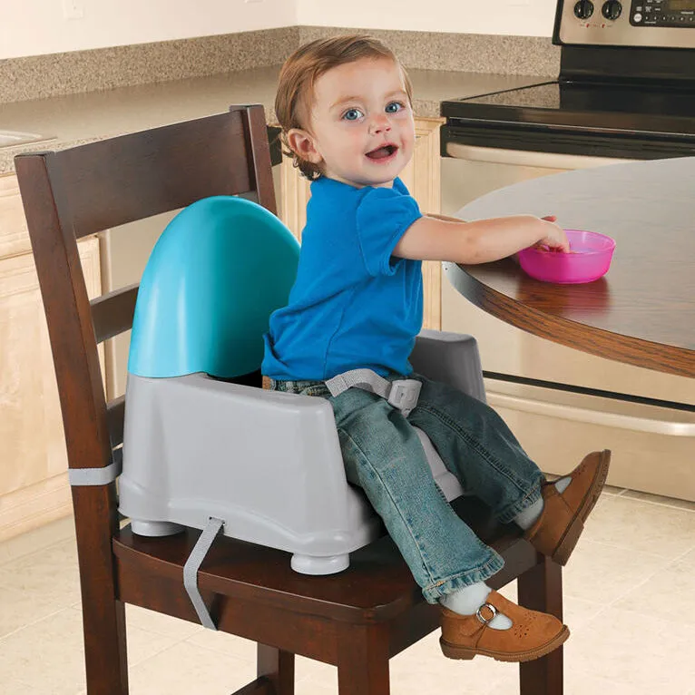 Easy Care Swing Tray Feeding Booster - Lakeside