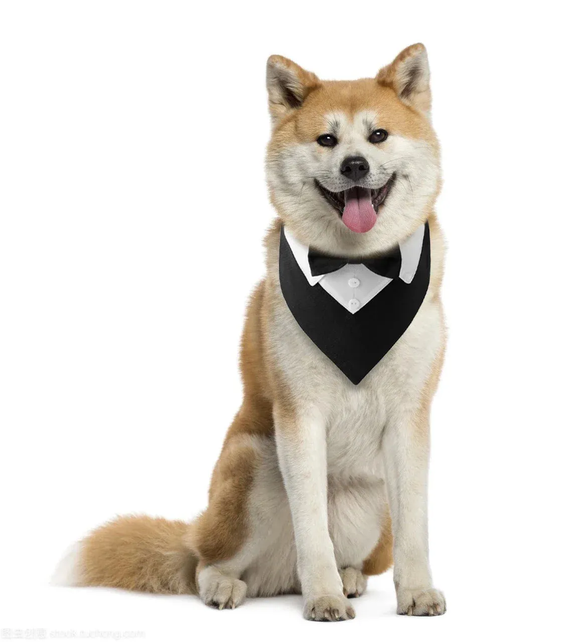 Elegant Adjustable Dog Tuxedo Collar with Bow Tie for Special Occasions
