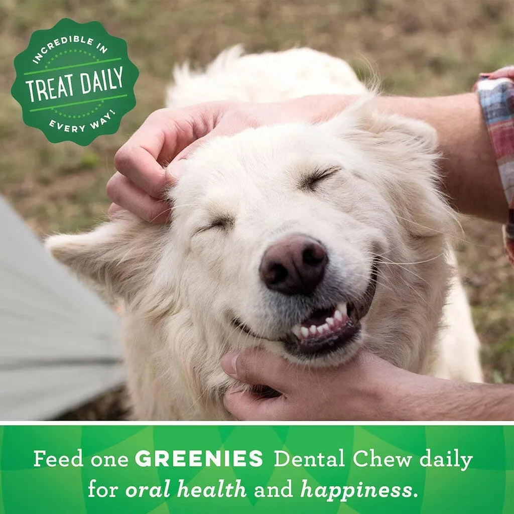 GREENIES Fresh Mint Teenie Dental Treats, 43 count