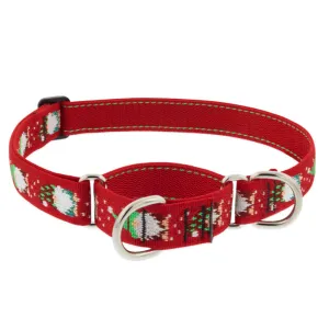 Lupine Martingale Training Dog Collar 1" Wide 19"-27" Neck Size Gnomes