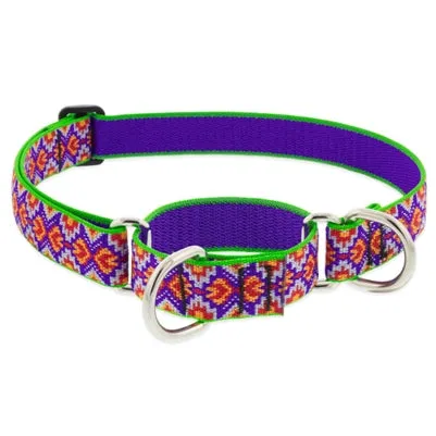 Lupine Pet Azteca Dog Collars Collection