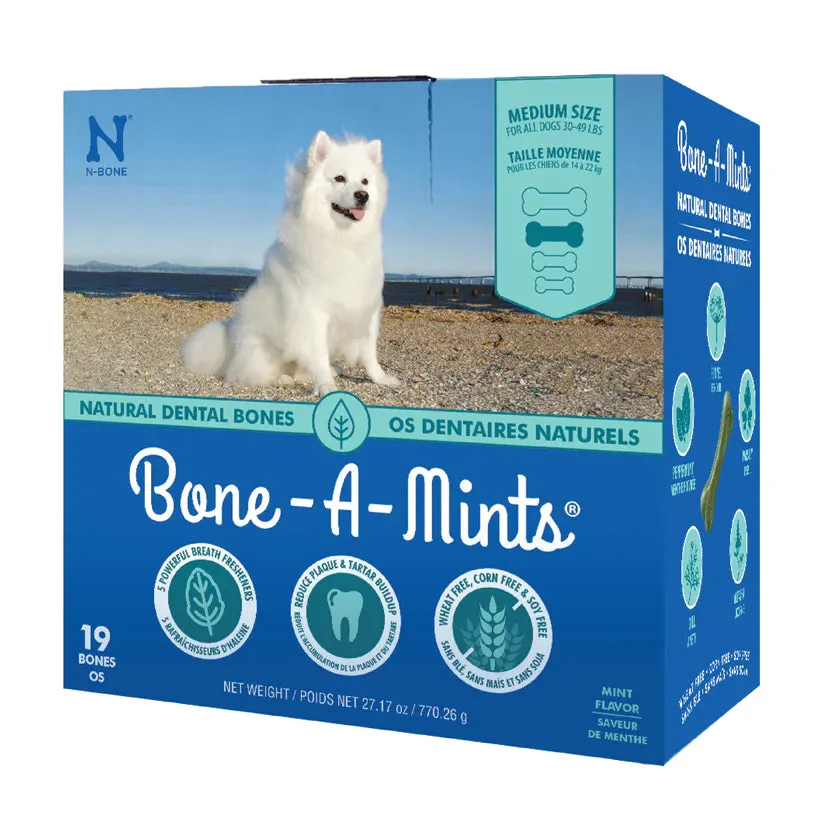 N-Bone Bone-A-Mint Bulk Boxes