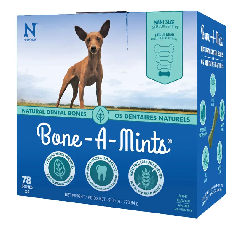 N-Bone Bone-A-Mint Bulk Boxes