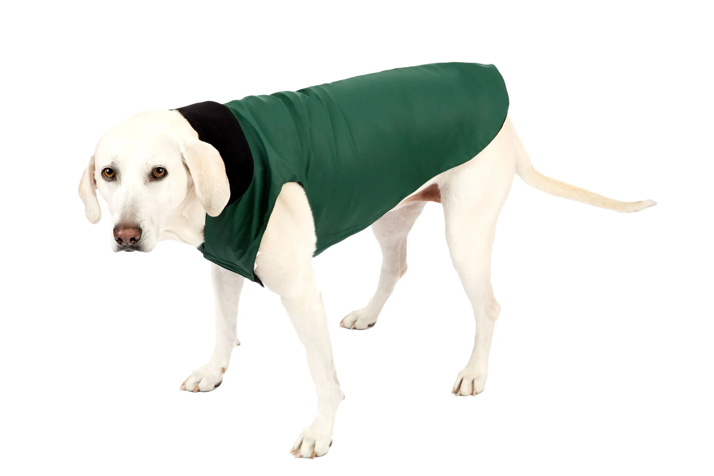 Neoprene Waterproof Lined Raincoats, 4 Colors