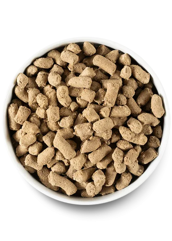 Open Farm - Front Range Freeze Dried Morsels Dog Food