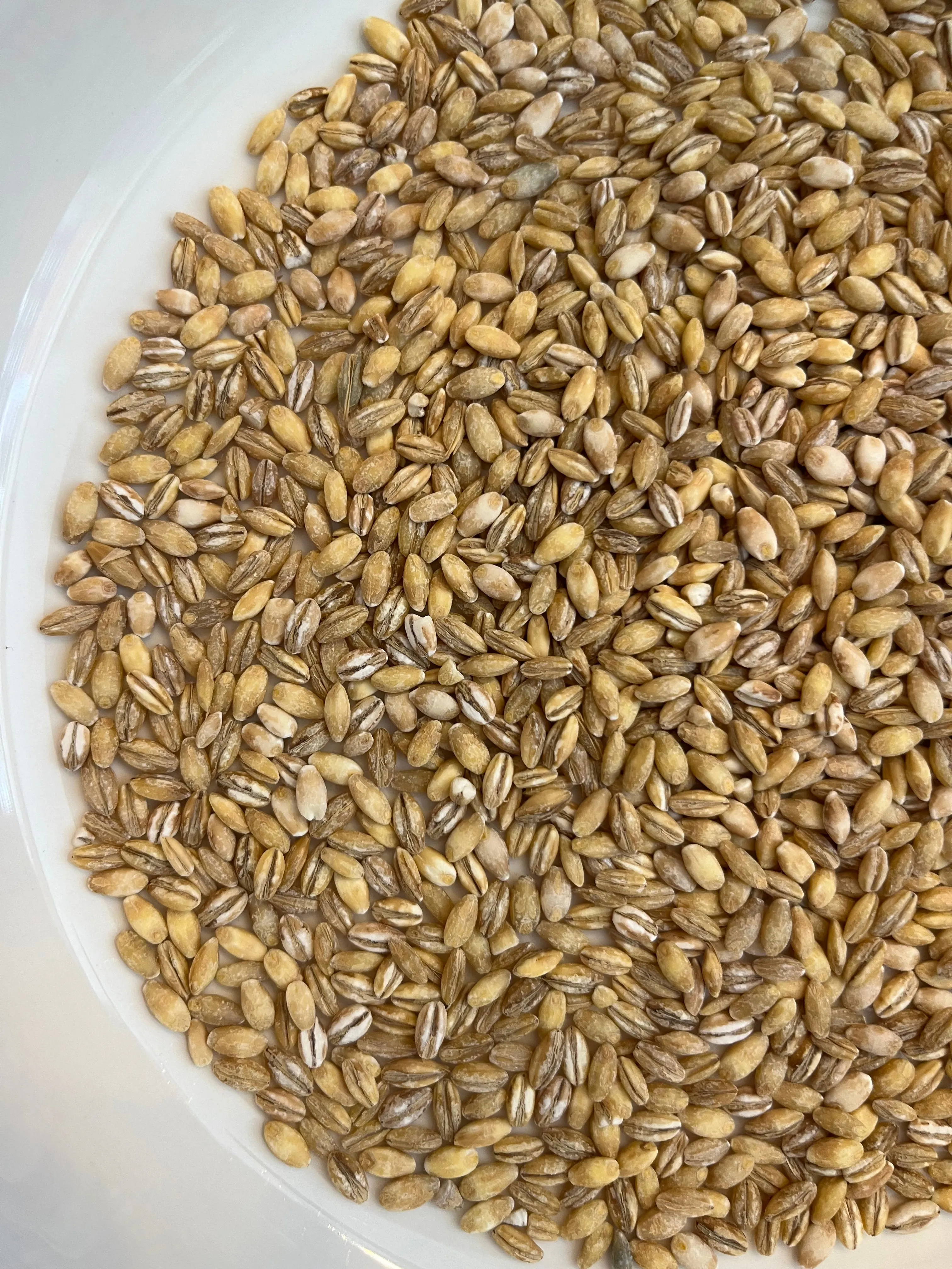 Pearl Barley 100g