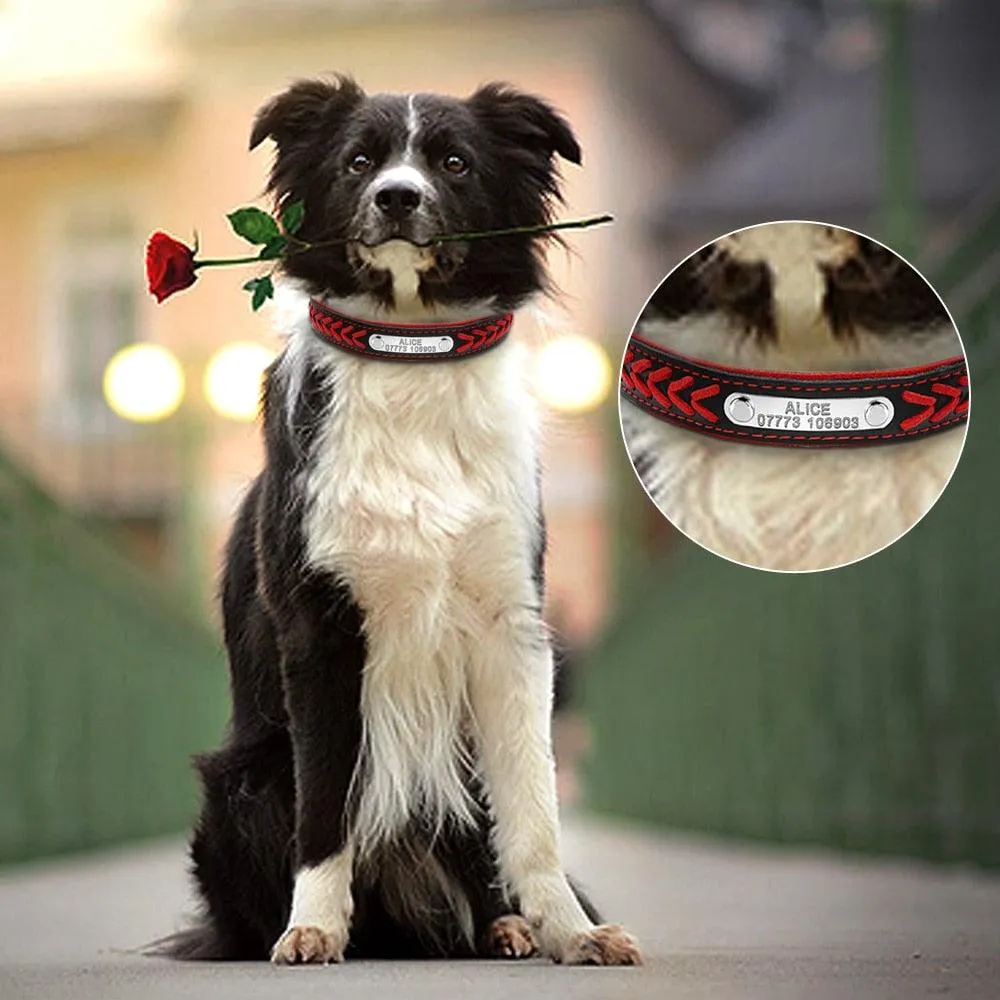 Personalized Engraved Collars For Dogs