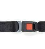 Premium Lap Belt for Series L-Track Length: 108" | FE200600
