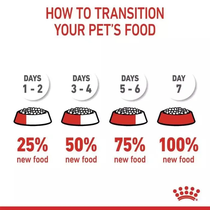 ROYAL CANIN® Dental Care Adult Cat Food