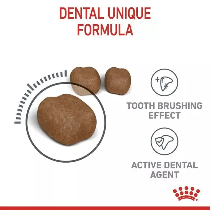 ROYAL CANIN® Dental Care Adult Cat Food