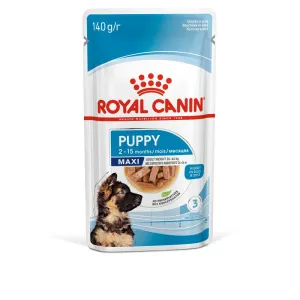 ROYAL CANIN SIZE HEALTH NUTRITION PUPPY - MAXI - Chunks in gravy