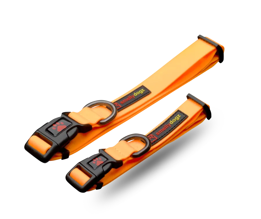 SMELLY DOGZ 1” and 3/4” ADJUSTABLE COMFORT COLLAR