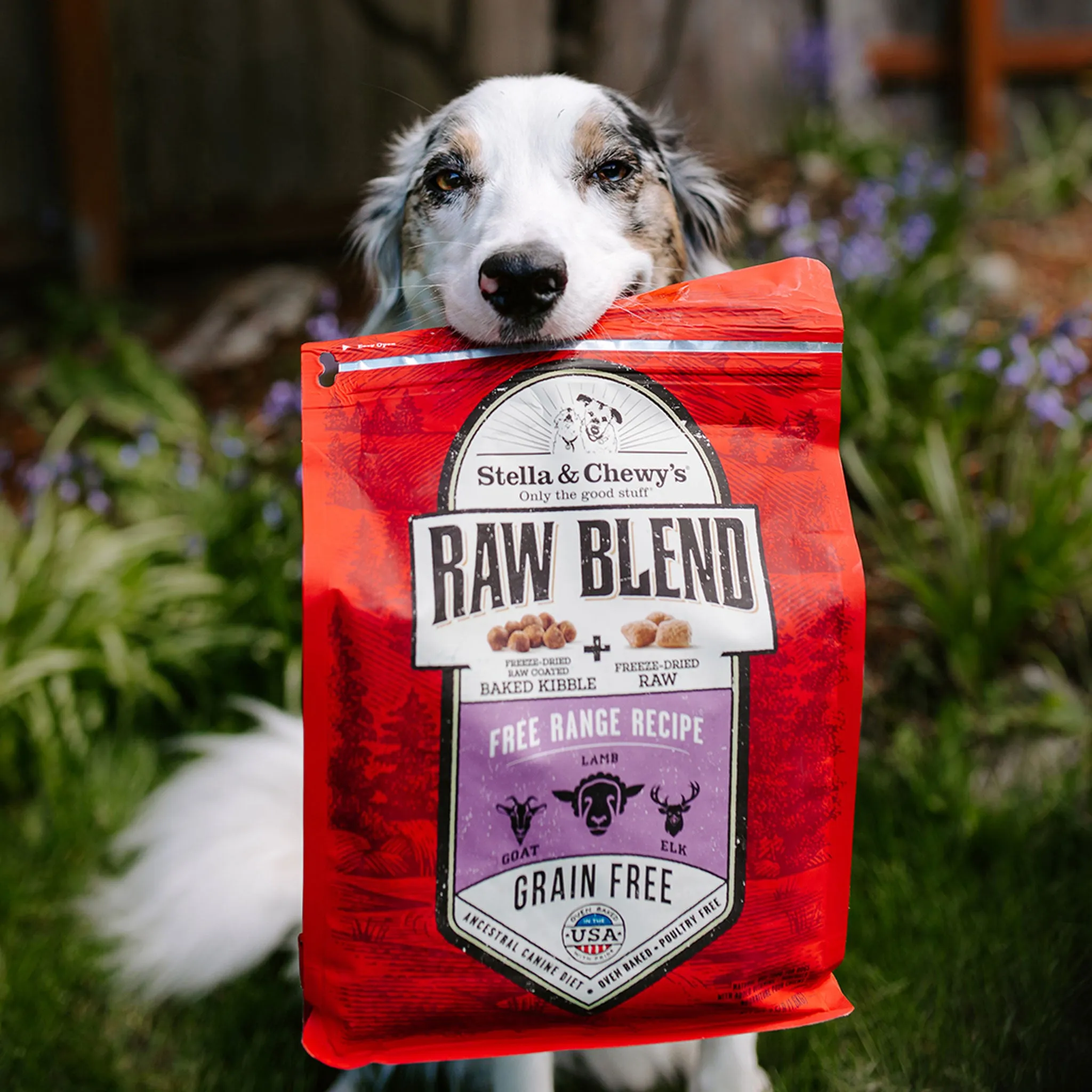 Stella & Chewy's Free Range Raw Blend Dog Kibble