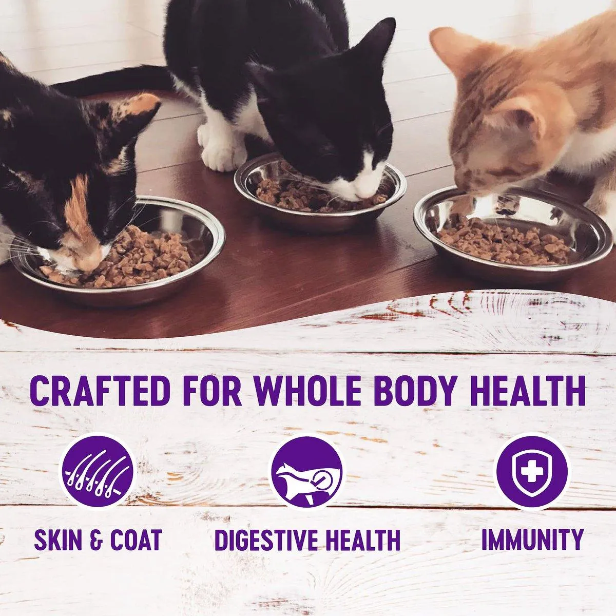 Wellness Healthy Indulgence Shreds Chicken & Turkey in Light Sauce Wet Cat Food